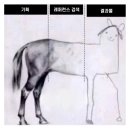 (주)플러그인티 이미지