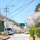 구룡산 오토캠핑장 | 캠핑후기 충북 보은 둥지캠핑장
