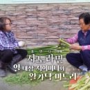 성실농장 이미지