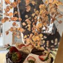 오로라케익하우스 이미지