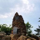 곡성-218 Daum카페
