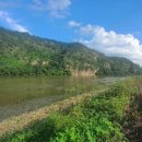 태산치과기공소 이미지