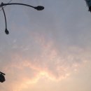 서초냉면갈비 이미지