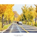반기문꿈자람길 2구간 | [충주시 블로그 공모전] 자연이 빚어낸 명품 힐링 로드 제1탄 충주호 종댕이길