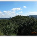 무안스포츠파크 이미지