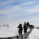 별빛목장 이미지