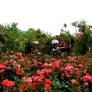 우면산3-23 이미지