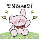 [리뷰] 용두동맛집 뚜띠쿠치나 샐러드, 화덕피자 후기