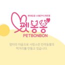 펫봉봉 이미지