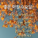 "'청계천(淸溪川)'의 일부 산책"＜2023.12.13(수)＞ 이미지