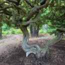 태림농원 이미지