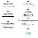 알파창원대점