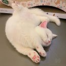 뿌앙