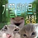 강*기 네이버블로그