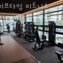라이프타임피티