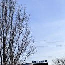 강매동관리실, 주차장 화장실 | [여주 캠핑장 추천] 대신캠핑장 :: 5성급 화장실과 따뜻한 겨울 캠핑 후기 (시설, 명당, 꿀팁)