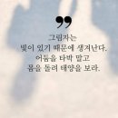 홀로 이미지