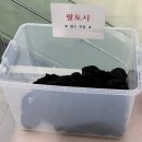 동작구청 신청사 대형 미끄럼틀 동작스타 후기! 구청에서 말아주는 도파민;;