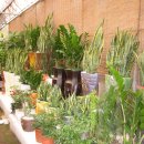 해피플라워 이미지