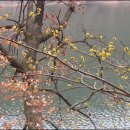 대로4세천 이미지