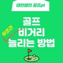 공인배골프아카데미 | 장산피티ㅣ골프pt 골프 비거리 고민이세요? 이** 회원님 실제 운동 후기 (골프 비거리 늘리는 운동)