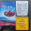 말이랑흑도새기랑 이미지