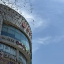 마로니에치과의원 이미지