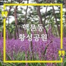 황성공원 씨름장 이미지