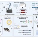 [2025 DAILY PICK 제126호] '국내 최초 개인 맞춤형 mRNA 암백신 개발…나만의 암백신 시대 연다' 등 이미지