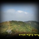 11월 22일 오서산(790m) 충남,보령~서해바다를 조망하는 산행과 광천젓갈시장을 구경하는 테마산행 이미지