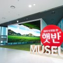 영 블라썸