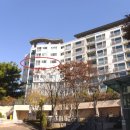 강남서로5 이미지