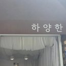 하양한 | 제주 조천 함덕 하양한 24시간 무인 푸딩 맛집 말차푸딩