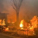 동해시-51 이미지