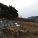 체리포포 이미지