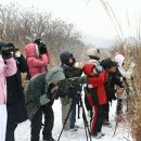 철새도 보고 민속놀이도 즐기고! 겨울 한강 생태프로그램 안내 이미지