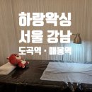 [서울 강남 헤어라인 왁싱] &#39;하랑왁싱&#39; 페이스 왁싱 · 도곡역, 매봉역 왁싱샵 추천