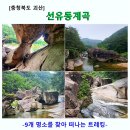 선유동2로 | [괴산] 선유동계곡 트레킹