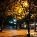 야간)손뜨개 이미지