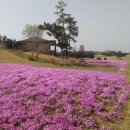 포인트골프방 티스토리