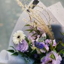 석민농장 | 일상 :: 청계산 등산, 발목염좌, 현대 판교 와인, 주은농장, 새우바질샐러드, 속눈썹펌, 다이아목걸이
