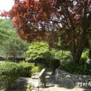 수록원