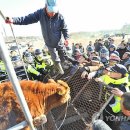 상경축산 이미지