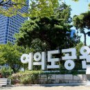 여의도공원 Daum카페