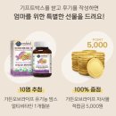 가든&기프트 네이버블로그