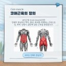 코어