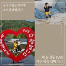 고래동물병원 | 아기랑 포천 당일치기여행 볼거리 가득한 예술정원 1999 자연예술테마파크