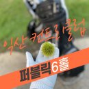 상떼힐익산간이골프장 | 익산 퍼블릭 6홀 노캐디 골프장 익산컨트리클럽 상떼힐 이용 후기 및 예약 확인하기