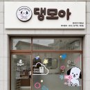 댕모아 네이버블로그