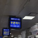 [노량진] 가성비 그 자체! 대형활어숙성회로 더 맛있었던 노량진 푸른바다 솔직후기